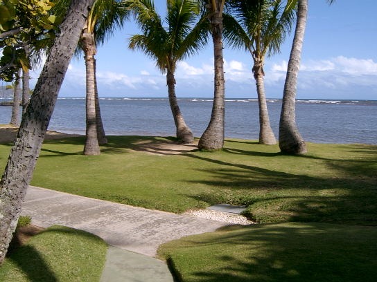 Wedding Location Review Waialae Beach Park Hawaii Wedding