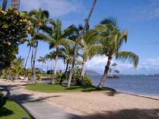 Wedding Location Review: Waialae Beach Park aka Kahala Beach