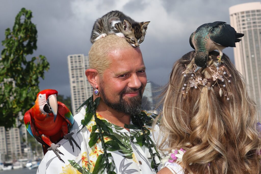 cat-couple-1024x683 AI AND HAWAII WEDDINGS